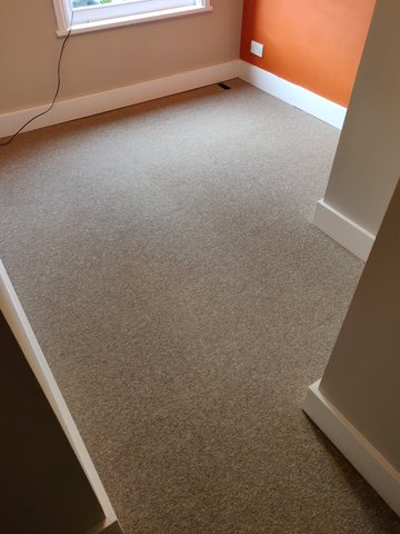 carpet